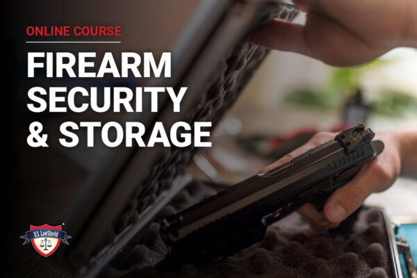 Firearm Security Storage